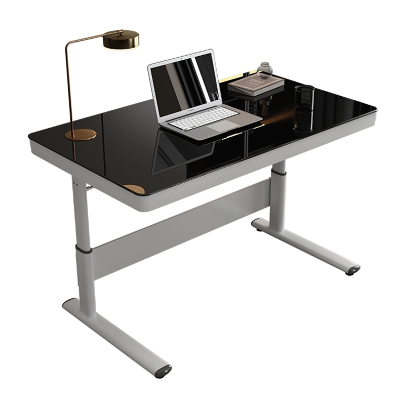 Height Adjustable Desk Modern Design Office Desk Computer Desk